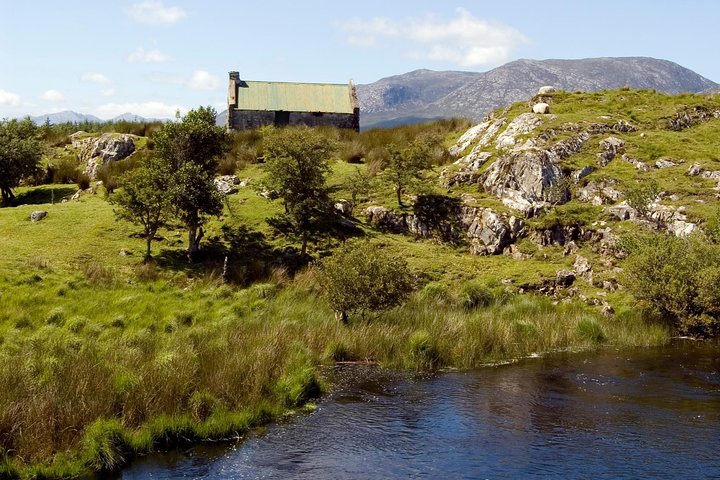 Connemara National Park, Beach & Blanket Bog ecology walk. Private Full-day