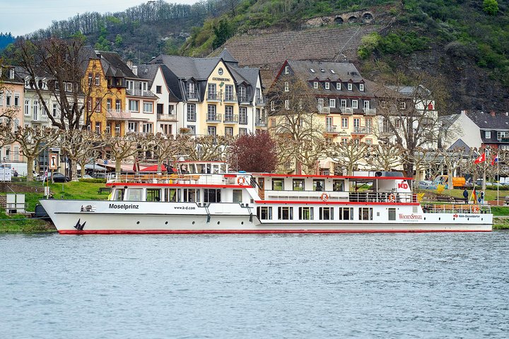 Cochem 1-Hour Sightseeing Cruise