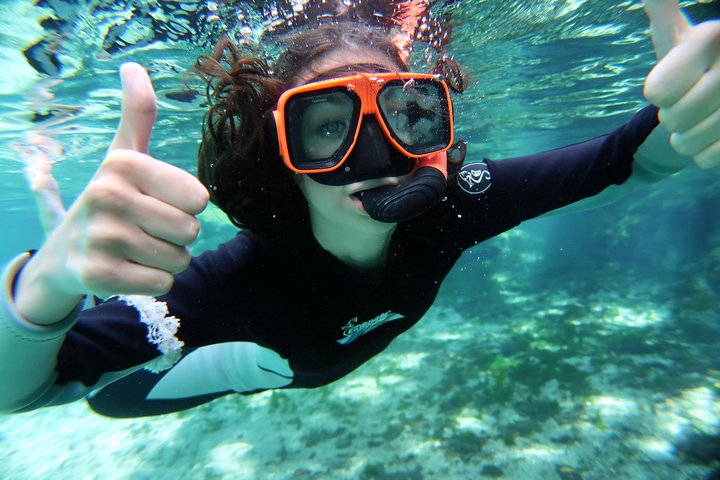 The 'OG' Manatee Snorkel Tour with In-Water Guide/Photographer