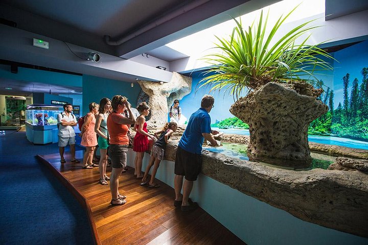 Aquarium Package in Nouméa's with Admission + HOHO with LYVAI