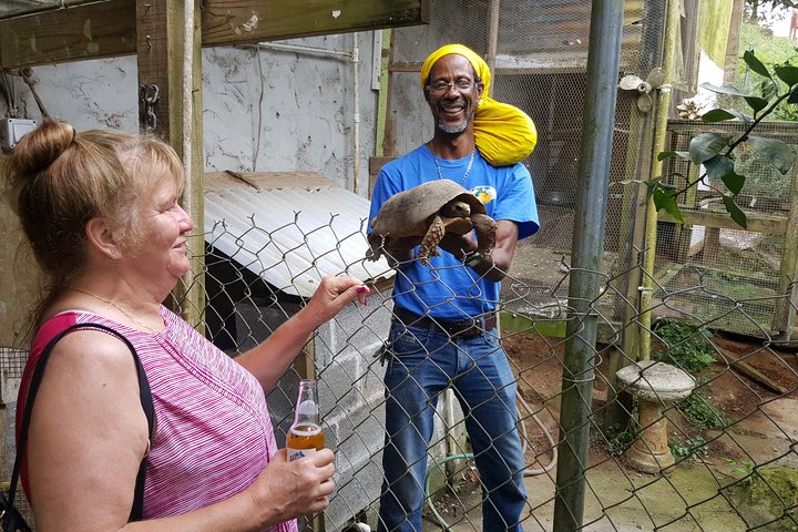 St. Lucia Food and Rum Tour - Taste authentic St. Lucian Food and Culture