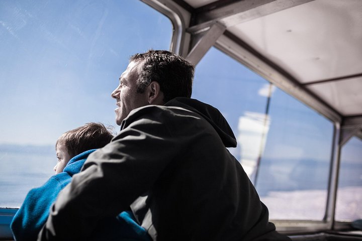 Summer Victoria Whale Watching Tour on a Covered Vessel