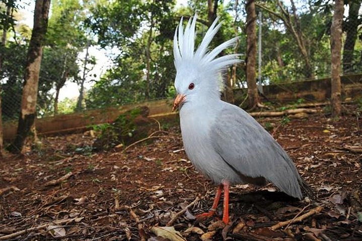 Zoological and Forestry Park Admission Ticket with LYVAI
