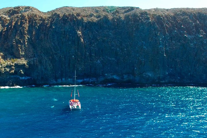 Whale watching & listening Eco-Catamaran Tour with Snacks &Drinks