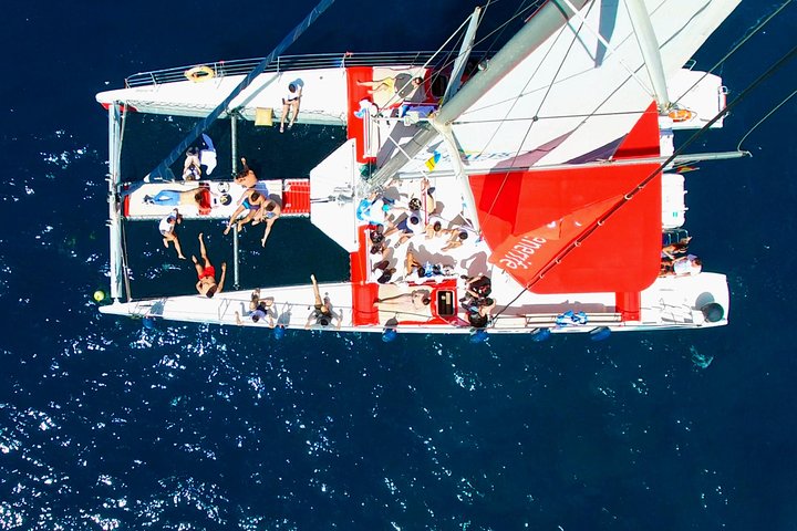 Whale watching & listening Eco-Catamaran Tour with Snacks &Drinks