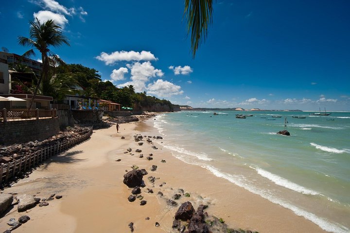 Sun and Fun at Pipa Beach: Day Tour from Natal