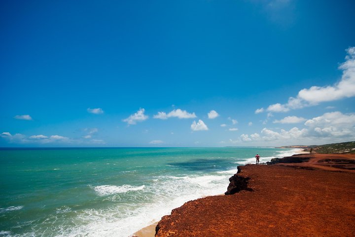 Sun and Fun at Pipa Beach: Day Tour from Natal