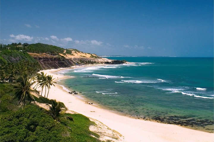 Sun and Fun at Pipa Beach: Day Tour from Natal