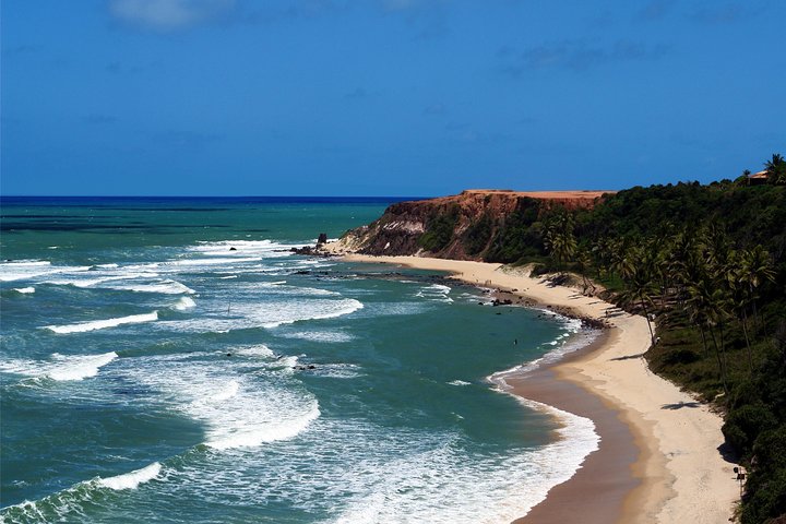 Sun and Fun at Pipa Beach: Day Tour from Natal