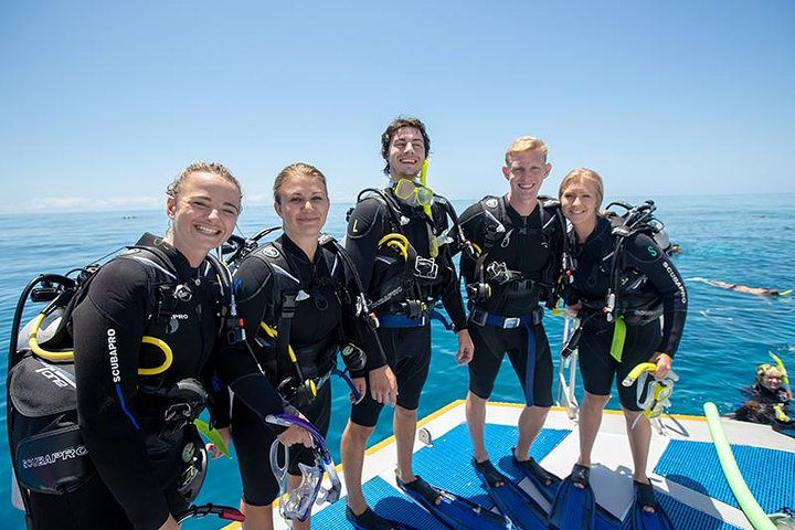 Great Barrier Reef Snorkeling and Diving Cruise from Cairns