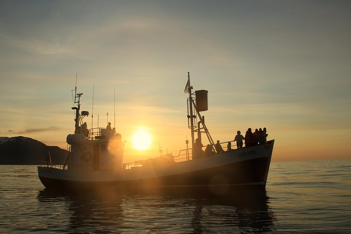 Traditional Whale Watching from Húsavík by Local Family Company