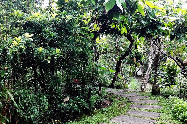 Bali Shore Excursion from Benoa Port – All-Inclusive Private Tour