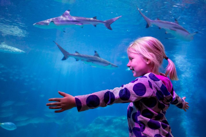 SEA LIFE Oberhausen Admission Ticket