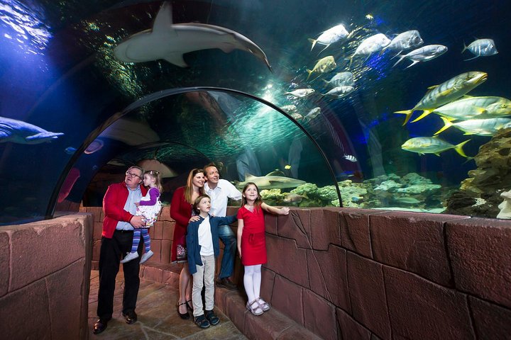 SEA LIFE Oberhausen Admission Ticket