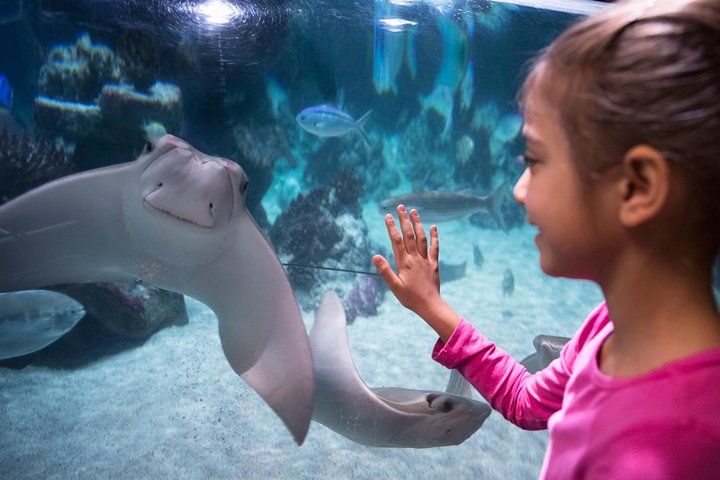 SEA LIFE Konstanz Admission Ticket