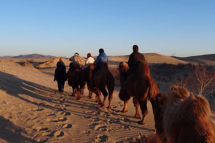 1 Day Semi-Gobi All-included tour