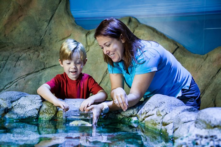 SEA LIFE Paris Val d'Europe Aquarium Entry Ticket