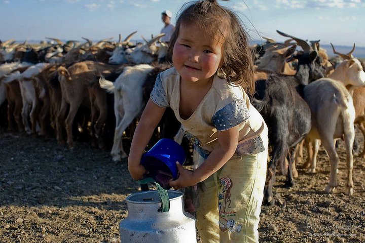 1 Day Semi-Gobi All-included tour