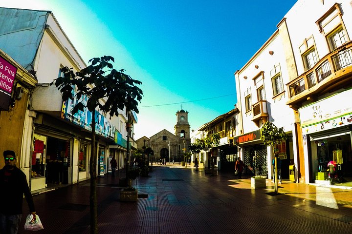 La Serena and Coquimbo Private City Tour Including Lunch, Shore Excursion