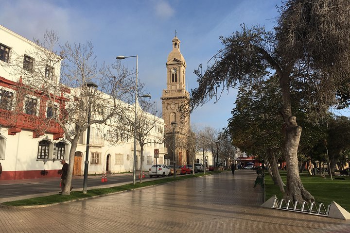 La Serena and Coquimbo Private City Tour Including Lunch, Shore Excursion