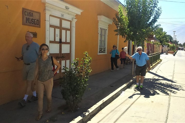 Elqui Valley and Vicuna Private Tour Including Lunch