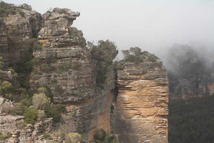 PRIVATE Blue Mountains tour & Koalas, Kangaroos, Cruise plus more