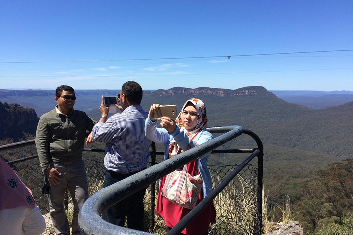 PRIVATE Blue Mountains tour & Koalas, Kangaroos, Cruise plus more