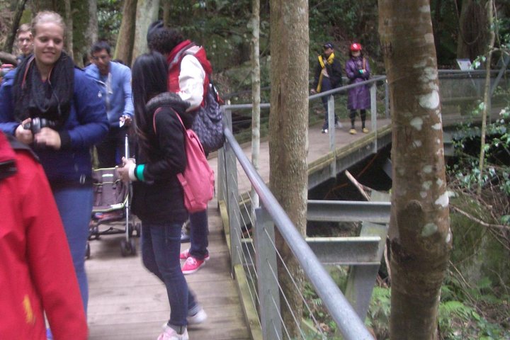 Blue Mountains PRIVATE Day Tour from Sydney plus Wildlife Park