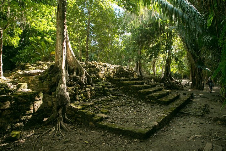 Costa Maya Shore Excursion Chacchoben Day Trip