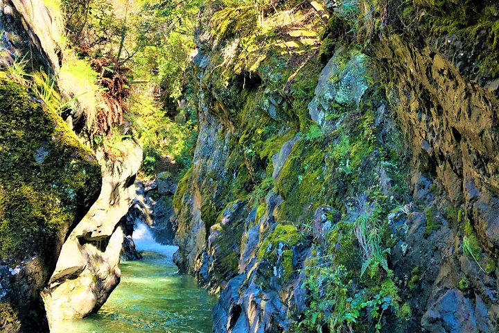Lord of the Rings Scenic Half Day Tour from Queenstown