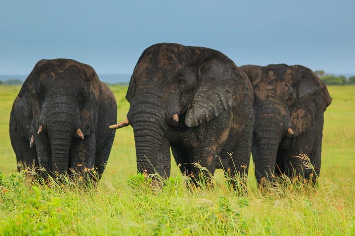 Full day Cape Vidal, iSimangaliso Wetland Safari