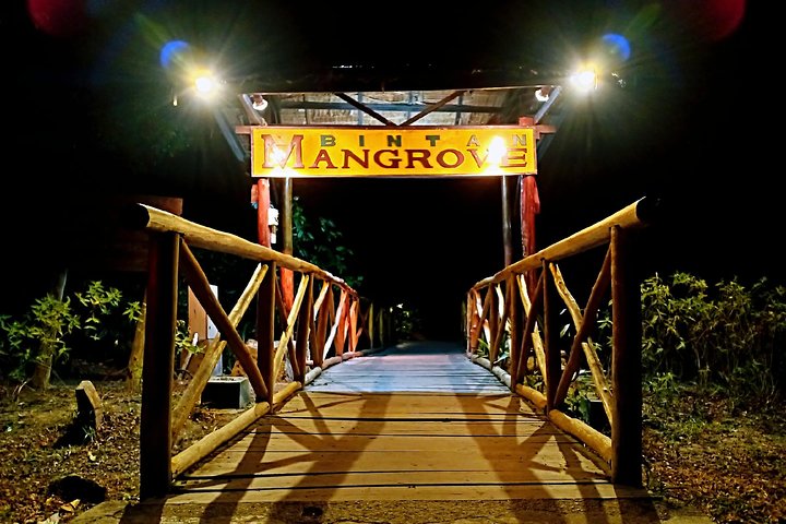 Bintan Fireflies Discovery Tour