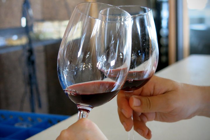 Troodos Mountains Vino Venture: All Inclusive Full Day Wine Tour
