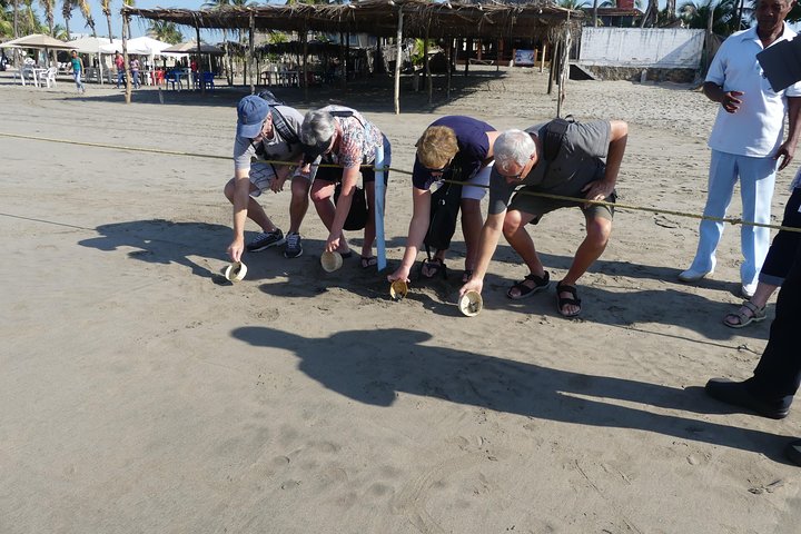 6Hr Cruisers or Hotels High Diver Peace Chapel BabyTurtleRelease