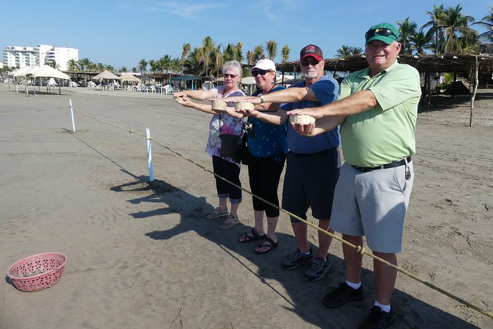 6Hr Cruisers or Hotels High Diver Peace Chapel BabyTurtleRelease