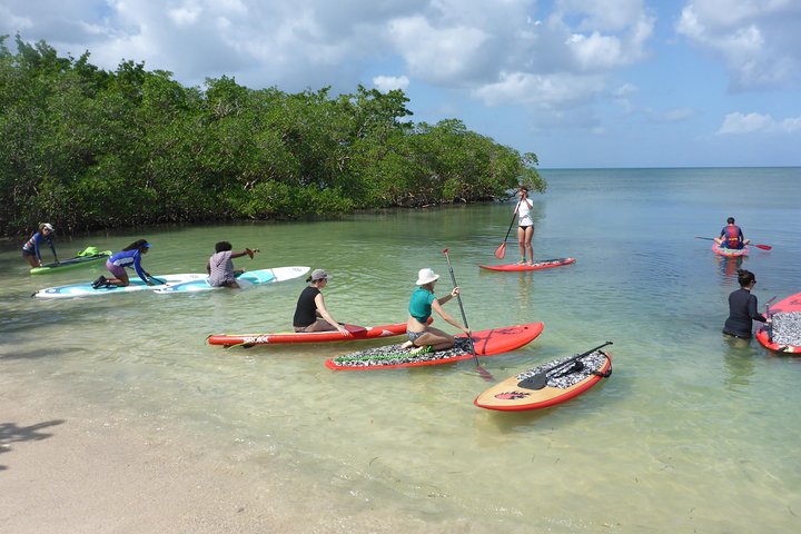Stand up paddle in paradise