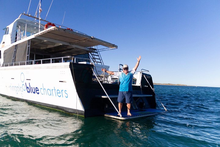 Swimming with the Whale Sharks - Ningaloo Reef (Exmouth)
