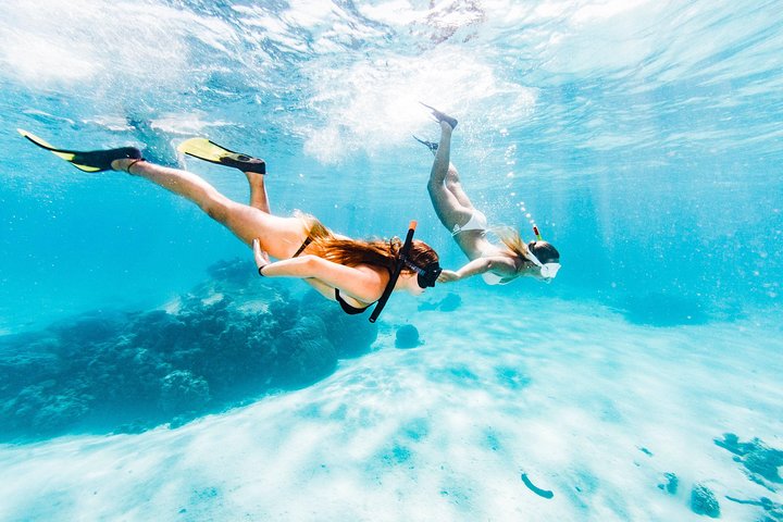 Swimming with the Whale Sharks - Ningaloo Reef (Exmouth)