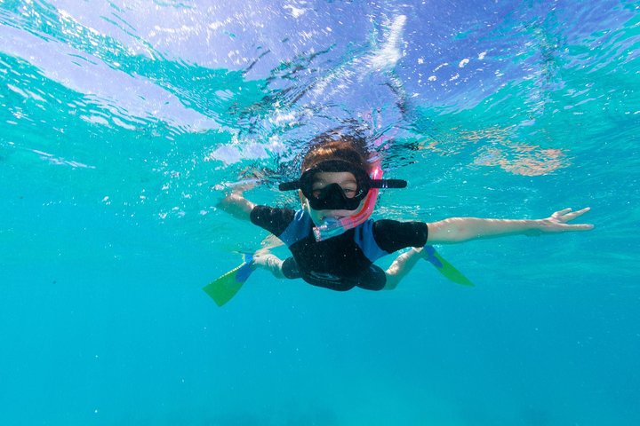 Swimming with the Whale Sharks - Ningaloo Reef (Exmouth)