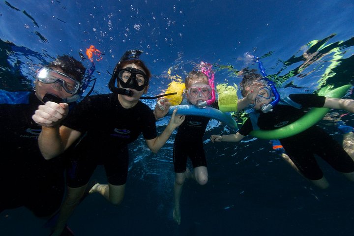 Swimming with the Whale Sharks - Ningaloo Reef (Exmouth)