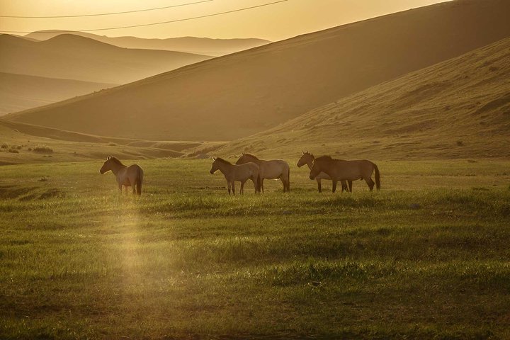 4 Days Tour: Central Mongolia