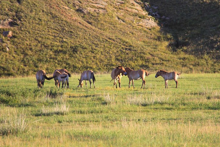 4 Days Tour: Central Mongolia