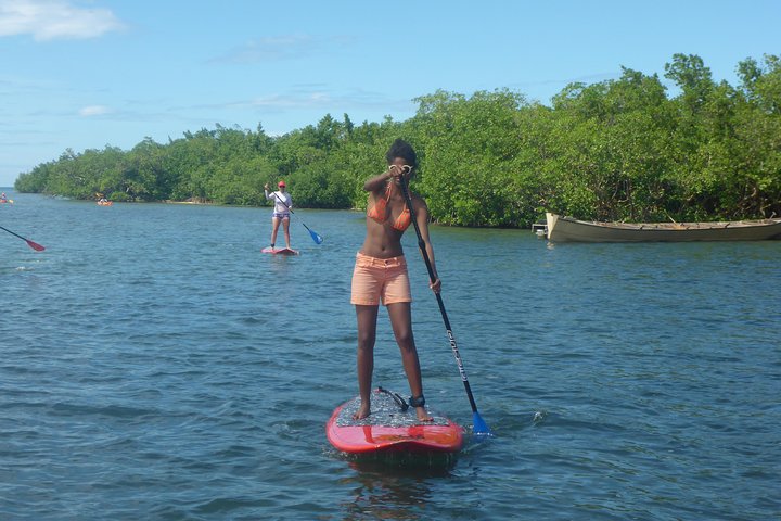 Stand up paddle in paradise