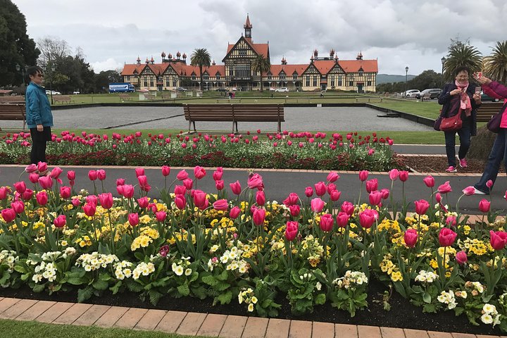 Rotorua via Kiwi/lakes country & a visit to iconic Whakarewarewa