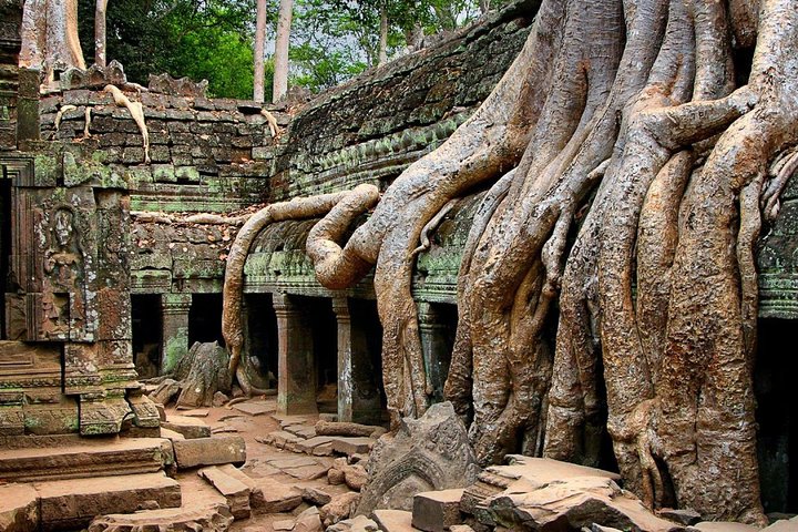 Angkor Wat Sunrise Private Tour with Guide from Siem Reap