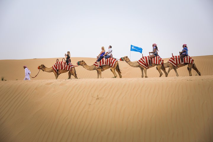 Dubai: Half-Day Desert Safari, Camels, Quad Bike & Refreshments