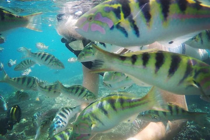 Bali Blue Lagoon Snorkeling with Lunch & Private Hotel Transfer