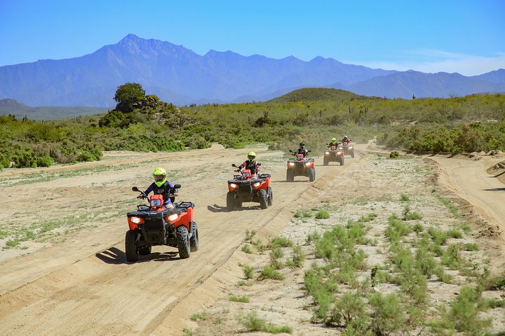 Cabo 4x4 ATV Tour with Tequila Tasting and Mexican Buffet Lunch