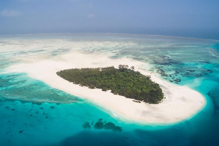Half Day Zanzibar Mnemba Atoll Marine Reserve Snorkeling Tour