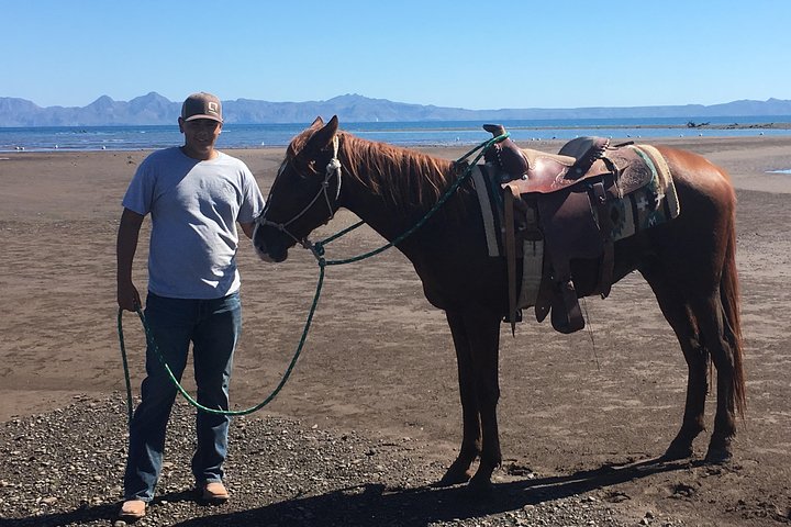 Horseback ride and witness magical sunset of Loreto, BCS
